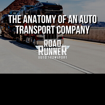 The Anatomy of an Auto Transport Company