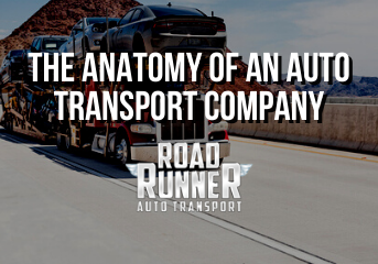 anatomy-auto-transport-company
