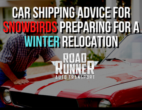snowbird-car-shipping-advice