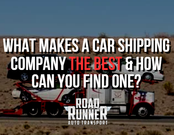 best-car-shipping-company